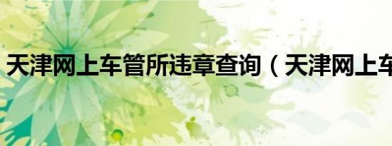 天津网上车管所违章查询（天津网上车管所）