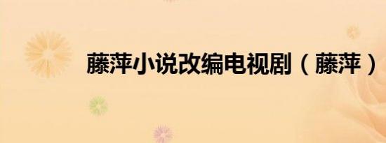 藤萍小说改编电视剧（藤萍）