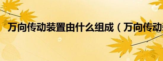 万向传动装置由什么组成（万向传动装置）