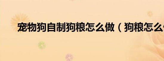 宠物狗自制狗粮怎么做（狗粮怎么做）