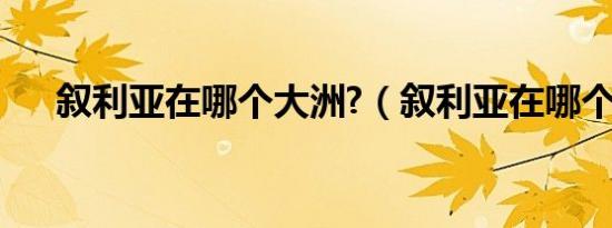 叙利亚在哪个大洲?（叙利亚在哪个洲）