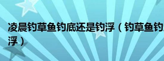 凌晨钓草鱼钓底还是钓浮（钓草鱼钓底还是钓浮）