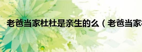 老爸当家杜杜是亲生的么（老爸当家杜杜）