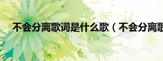 不会分离歌词是什么歌（不会分离歌词）
