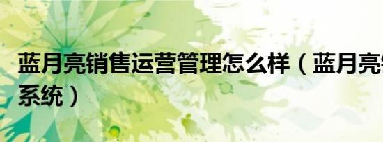 蓝月亮销售运营管理怎么样（蓝月亮销售管理系统）