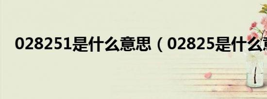 028251是什么意思（02825是什么意思）