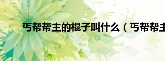 丐帮帮主的棍子叫什么（丐帮帮主）