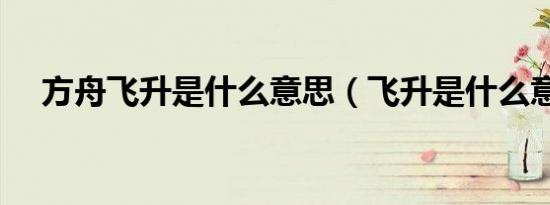 方舟飞升是什么意思（飞升是什么意思）