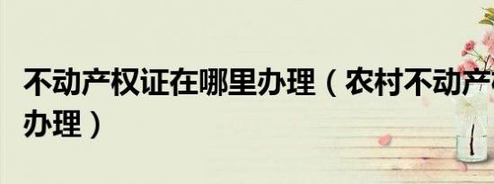不动产权证在哪里办理（农村不动产权证怎么办理）