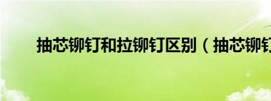 抽芯铆钉和拉铆钉区别（抽芯铆钉）