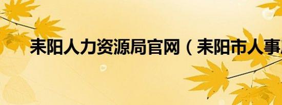 耒阳人力资源局官网（耒阳市人事局）