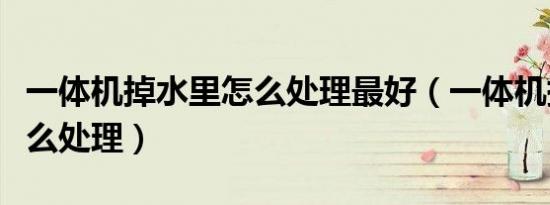 一体机掉水里怎么处理最好（一体机掉水里怎么处理）