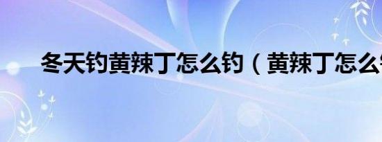冬天钓黄辣丁怎么钓（黄辣丁怎么钓）