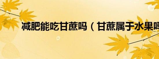 减肥能吃甘蔗吗（甘蔗属于水果吗）