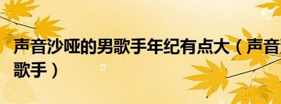 声音沙哑的男歌手年纪有点大（声音沙哑的男歌手）