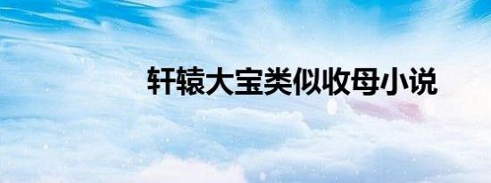 轩辕大宝类似收母小说