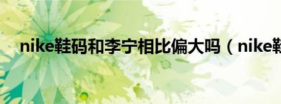 nike鞋码和李宁相比偏大吗（nike鞋码）