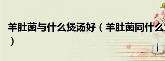 羊肚菌与什么煲汤好（羊肚菌同什么煲汤最好）