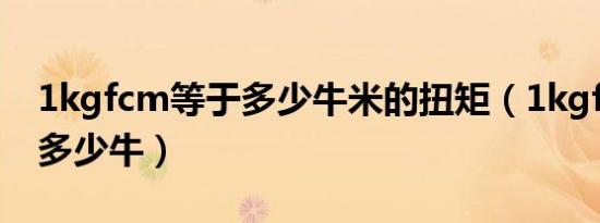 1kgfcm等于多少牛米的扭矩（1kgfcm等于多少牛）