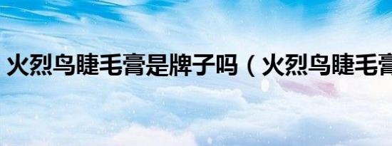 火烈鸟睫毛膏是牌子吗（火烈鸟睫毛膏价格）