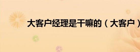 大客户经理是干嘛的（大客户）