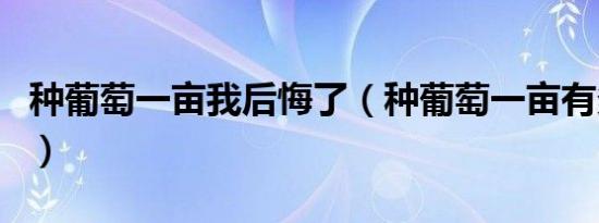 种葡萄一亩我后悔了（种葡萄一亩有多少利润）