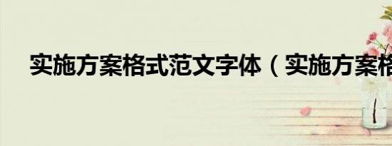 实施方案格式范文字体（实施方案格式）
