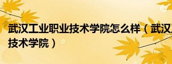 武汉工业职业技术学院怎么样（武汉工业职业技术学院）