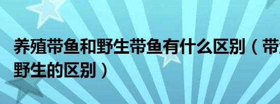 养殖带鱼和野生带鱼有什么区别（带鱼养殖和野生的区别）