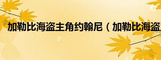 加勒比海盗主角约翰尼（加勒比海盗主角）