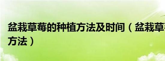 盆栽草莓的种植方法及时间（盆栽草莓的种植方法）