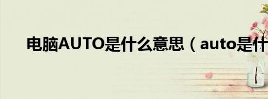 电脑AUTO是什么意思（auto是什么）