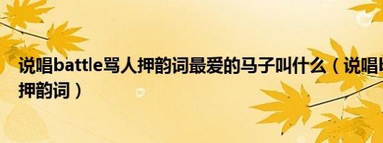 说唱battle骂人押韵词最爱的马子叫什么（说唱battle骂人押韵词）