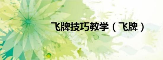飞牌技巧教学（飞牌）