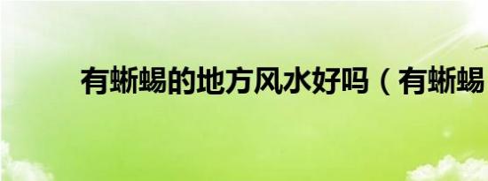 有蜥蜴的地方风水好吗（有蜥蜴）