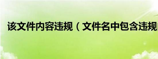 该文件内容违规（文件名中包含违规内容）