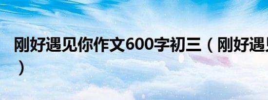 刚好遇见你作文600字初三（刚好遇见你作文）