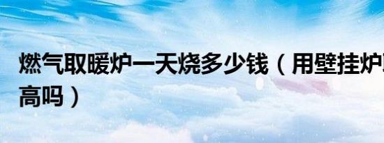 燃气取暖炉一天烧多少钱（用壁挂炉取暖费用高吗）