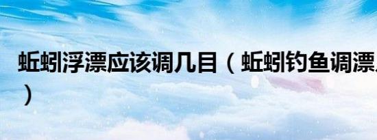 蚯蚓浮漂应该调几目（蚯蚓钓鱼调漂几目最好）