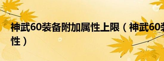 神武60装备附加属性上限（神武60装备满属性）