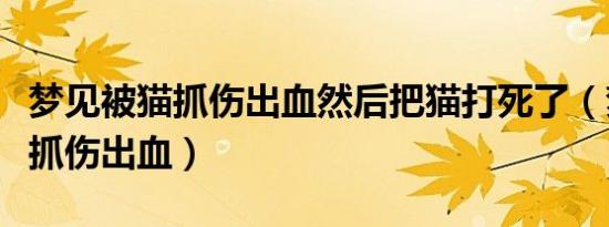 梦见被猫抓伤出血然后把猫打死了（梦见被猫抓伤出血）
