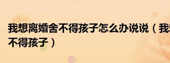 我想离婚舍不得孩子怎么办说说（我想离婚舍不得孩子）