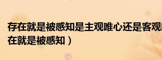 存在就是被感知是主观唯心还是客观唯心（存在就是被感知）