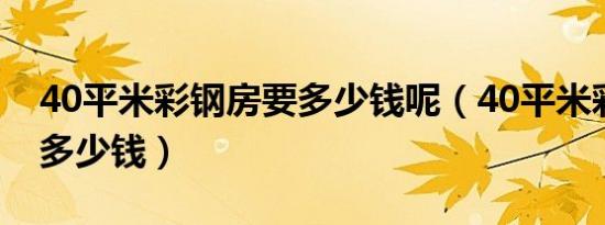 40平米彩钢房要多少钱呢（40平米彩钢房要多少钱）