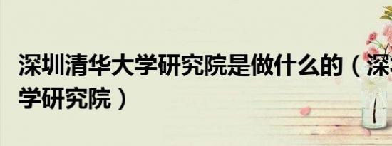 深圳清华大学研究院是做什么的（深圳清华大学研究院）