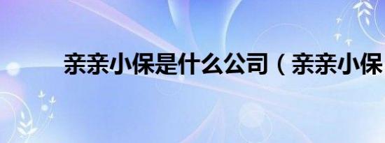 亲亲小保是什么公司（亲亲小保）