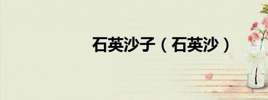 石英沙子（石英沙）