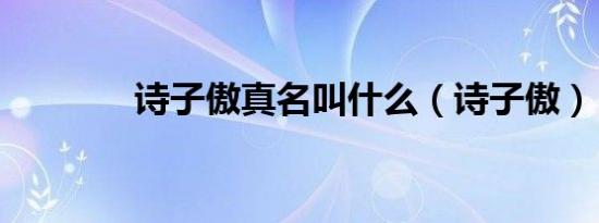 诗子傲真名叫什么（诗子傲）