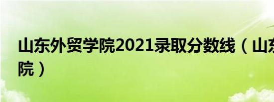 山东外贸学院2021录取分数线（山东外贸学院）