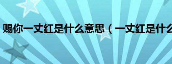赐你一丈红是什么意思（一丈红是什么意思）